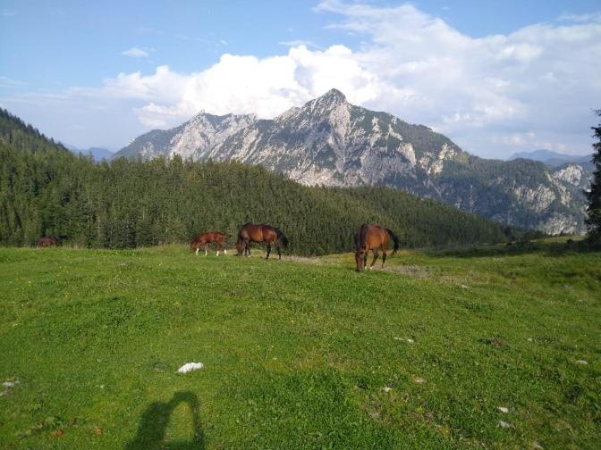Mountainlove Strobl Dış mekan fotoğraf